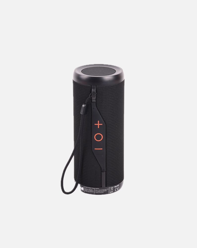 Enceinte sans fil étanche IPX5 PWS-2252