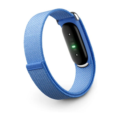 Google Fitbit Air