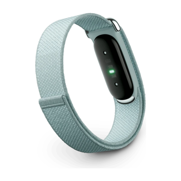 Google Fitbit Air