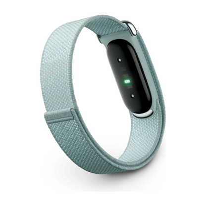 Google Fitbit Air