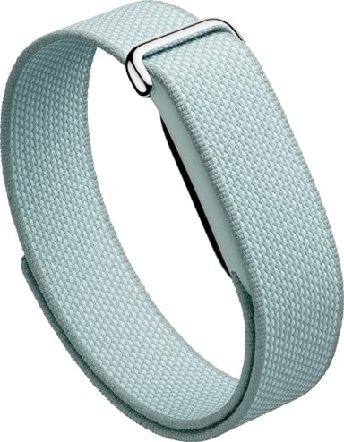 Google Fitbit Air