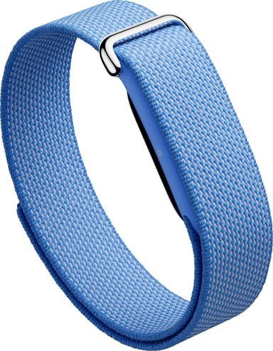 Google Fitbit Air