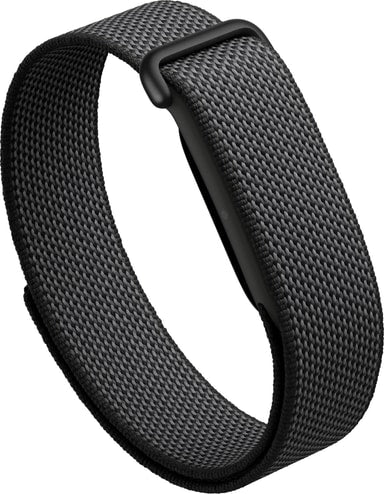 Google Fitbit Air
